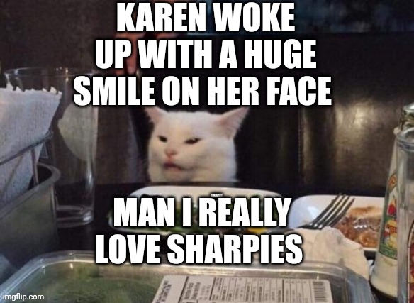 Smudge that darn cat | KAREN WOKE UP WITH A HUGE SMILE ON HER FACE; MAN I REALLY LOVE SHARPIES | image tagged in smudge that darn cat | made w/ Imgflip meme maker