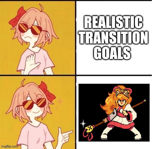 Ah yes. Subtlety. | REALISTIC TRANSITION GOALS | image tagged in trans girl drake meme | made w/ Imgflip meme maker