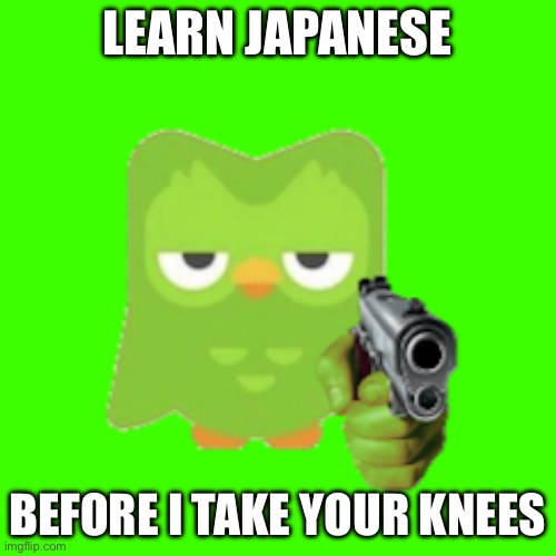 Duolingo | LEARN JAPANESE BEFORE I TAKE YOUR KNEES | image tagged in duolingo | made w/ Imgflip meme maker