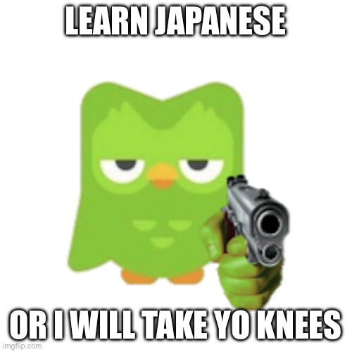 Duolingo | LEARN JAPANESE OR I WILL TAKE YO KNEES | image tagged in duolingo | made w/ Imgflip meme maker