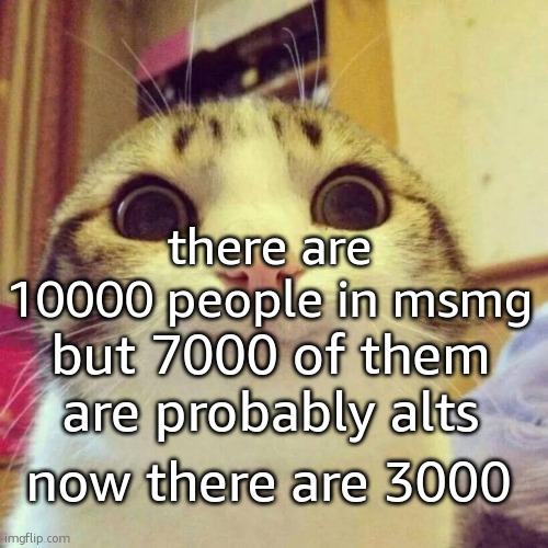 Smiling Cat | there are 10000 people in msmg; but 7000 of them are probably alts; now there are 3000 | image tagged in memes,smiling cat | made w/ Imgflip meme maker