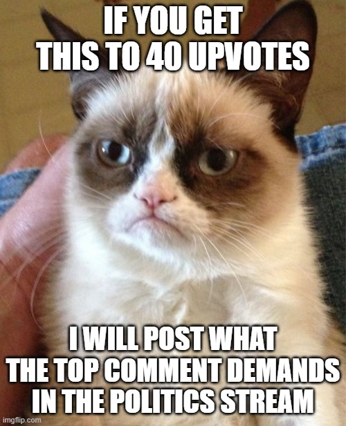 Grumpy Cat | IF YOU GET THIS TO 40 UPVOTES; I WILL POST WHAT THE TOP COMMENT DEMANDS IN THE POLITICS STREAM | image tagged in memes,grumpy cat | made w/ Imgflip meme maker