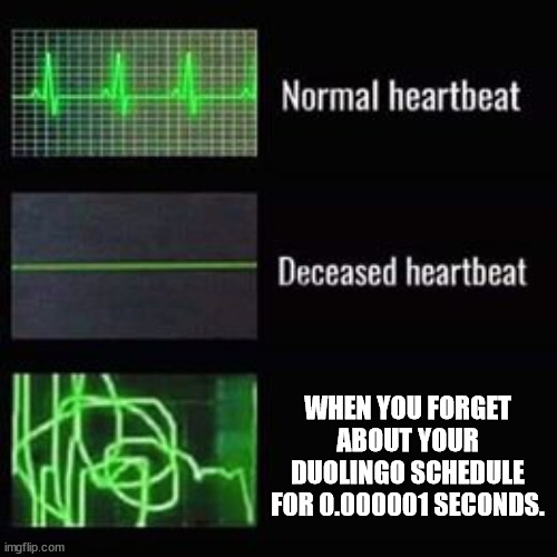 dont download duolingo | WHEN YOU FORGET ABOUT YOUR DUOLINGO SCHEDULE FOR 0.000001 SECONDS. | image tagged in heartbeat rate | made w/ Imgflip meme maker