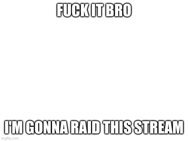 FUCK IT BRO; I'M GONNA RAID THIS STREAM | made w/ Imgflip meme maker