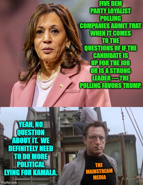 Lie harder for Kamala MSM! | FIVE DEM PARTY LOYALIST POLLING COMPANIES ADMIT THAT WHEN IT COMES TO THE QUESTIONS OF IF THE CANDIDATE IS UP FOR THE JOB OR IS A STRONG LEADER — THE POLLING FAVORS TRUMP. YEAH, NO QUESTION ABOUT IT.  WE DEFINITELY NEED TO DO MORE POLITICAL LYING FOR KAMALA. THE MAINSTREAM MEDIA | image tagged in yrep | made w/ Imgflip meme maker