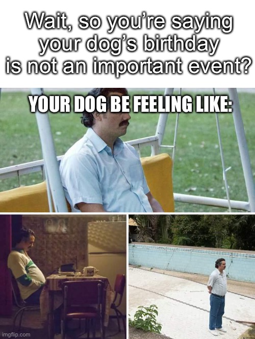 Sad Pablo Escobar Meme | Wait, so you’re saying your dog’s birthday is not an important event? YOUR DOG BE FEELING LIKE: | image tagged in memes,sad pablo escobar | made w/ Imgflip meme maker