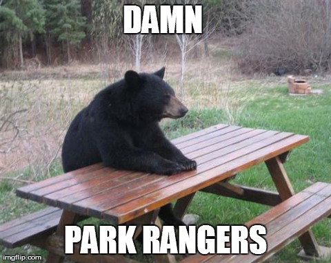 Bad Luck Bear Meme | DAMN  PARK RANGERS | image tagged in memes,bad luck bear | made w/ Imgflip meme maker