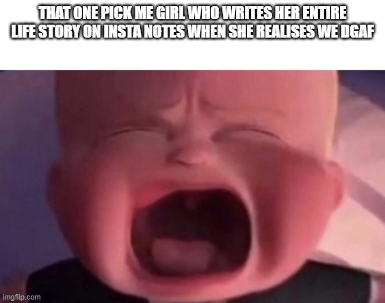 It's true tho | THAT ONE PICK ME GIRL WHO WRITES HER ENTIRE LIFE STORY ON INSTA NOTES WHEN SHE REALISES WE DGAF | image tagged in boss baby crying,memes,instagram,pick me | made w/ Imgflip meme maker