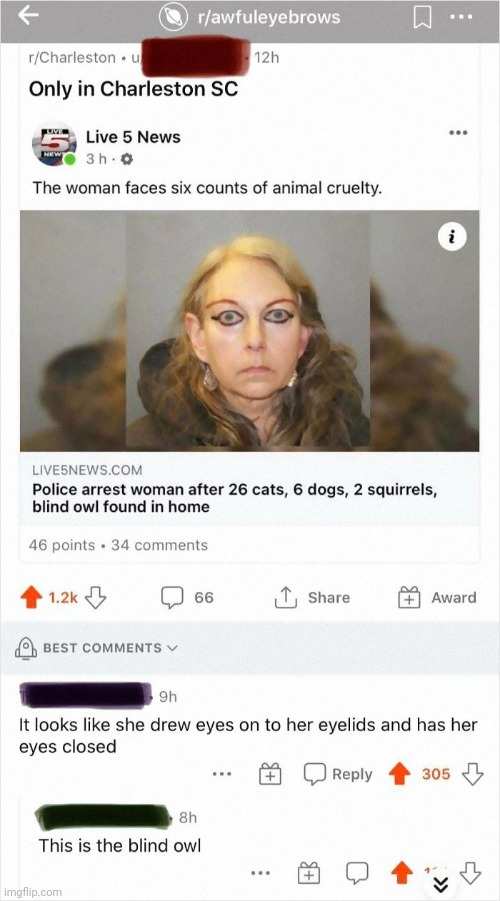 Blind owl | image tagged in memes,rareinsults | made w/ Imgflip meme maker