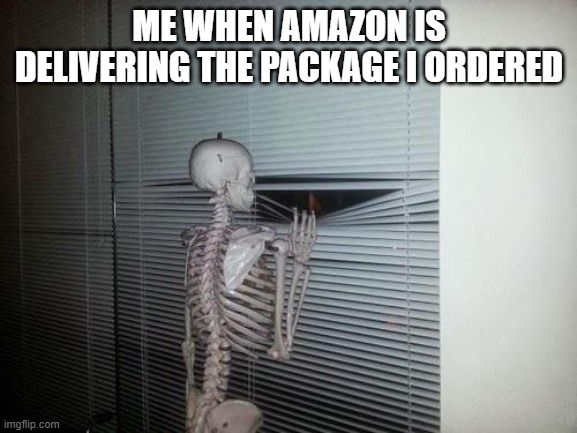 Skeleton waits | ME WHEN AMAZON IS DELIVERING THE PACKAGE I ORDERED | image tagged in skeleton looking out window | made w/ Imgflip meme maker