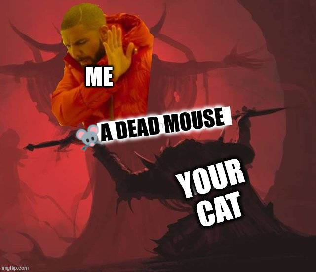 Thanks, but I will pass | ME; A DEAD MOUSE; YOUR
CAT | image tagged in cats | made w/ Imgflip meme maker