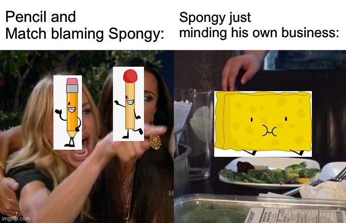 Woman Yelling At Cat | Pencil and Match blaming Spongy:; Spongy just minding his own business: | image tagged in memes,woman yelling at cat | made w/ Imgflip meme maker