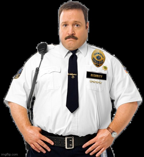 Paul Blart | image tagged in paul blart | made w/ Imgflip meme maker