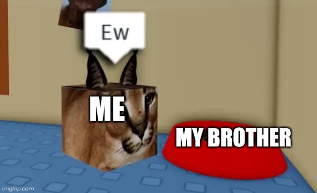 My brother in a nutshell part 4 | ME; MY BROTHER | image tagged in floppa cube say ew to this red bowl,floppa,raise a floppa,roblox,floppa cube | made w/ Imgflip meme maker