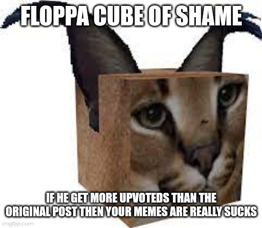 New shame | FLOPPA CUBE OF SHAME; IF HE GET MORE UPVOTEDS THAN THE ORIGINAL POST THEN YOUR MEMES ARE REALLY SUCKS | image tagged in floppa cube,raise a floppa 2,roblox,floppa,stop reading the tags | made w/ Imgflip meme maker