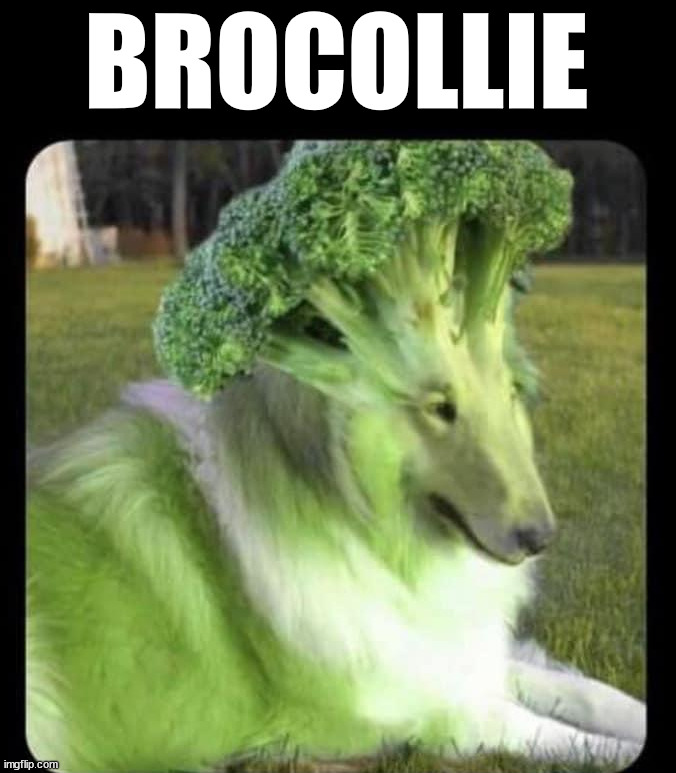 A side of | BROCOLLIE | image tagged in eyeroll | made w/ Imgflip meme maker