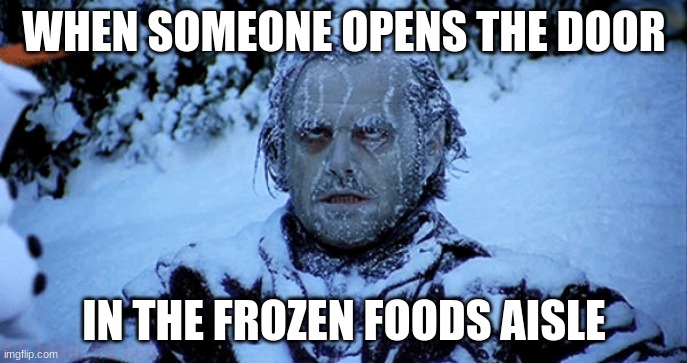 store | WHEN SOMEONE OPENS THE DOOR; IN THE FROZEN FOODS AISLE | image tagged in freezing cold | made w/ Imgflip meme maker