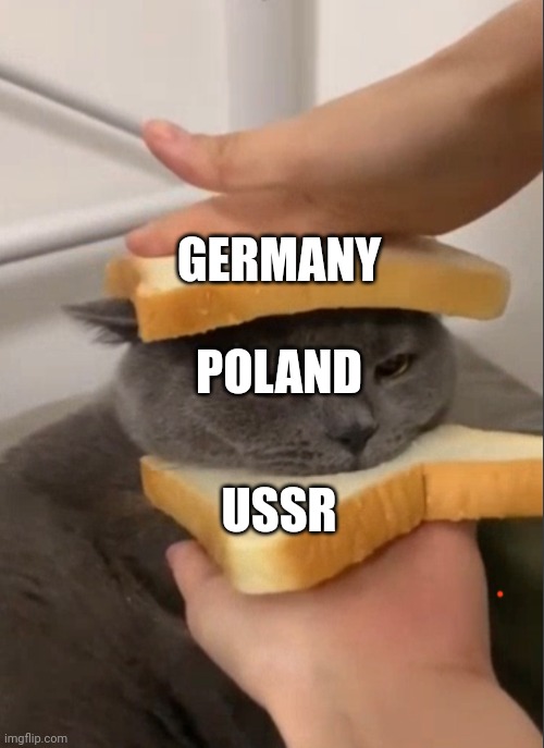 Pressed together | POLAND; GERMANY; USSR | image tagged in cat sandwich | made w/ Imgflip meme maker