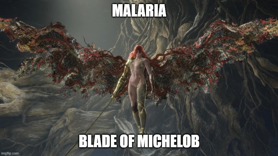 Malaria, blade of Michelob | MALARIA; BLADE OF MICHELOB | image tagged in malenia,elden ring | made w/ Imgflip meme maker