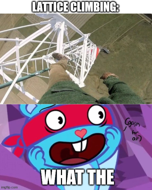 Splendid | LATTICE CLIMBING:; WHAT THE | image tagged in climbing,happy tree friends,lattice climbing,splendid,htf fanart,free climbing | made w/ Imgflip meme maker