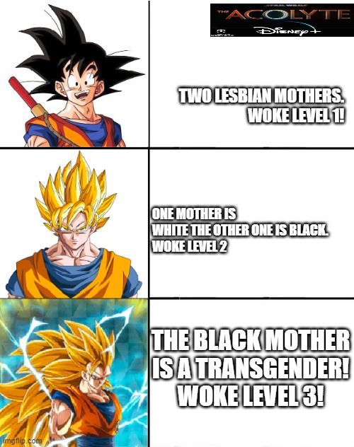 Disney level supersayan! | TWO LESBIAN MOTHERS.
WOKE LEVEL 1! ONE MOTHER IS WHITE THE OTHER ONE IS BLACK.
WOKE LEVEL 2; THE BLACK MOTHER IS A TRANSGENDER!
WOKE LEVEL 3! | image tagged in goku ssj progression,woke,progressive,liberal logic,stupid liberals,disney killed star wars | made w/ Imgflip meme maker