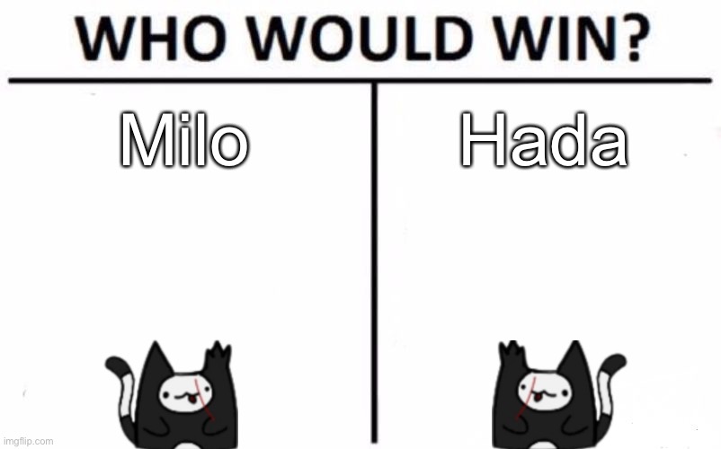 Interesting | Milo; Hada | image tagged in memes,who would win | made w/ Imgflip meme maker