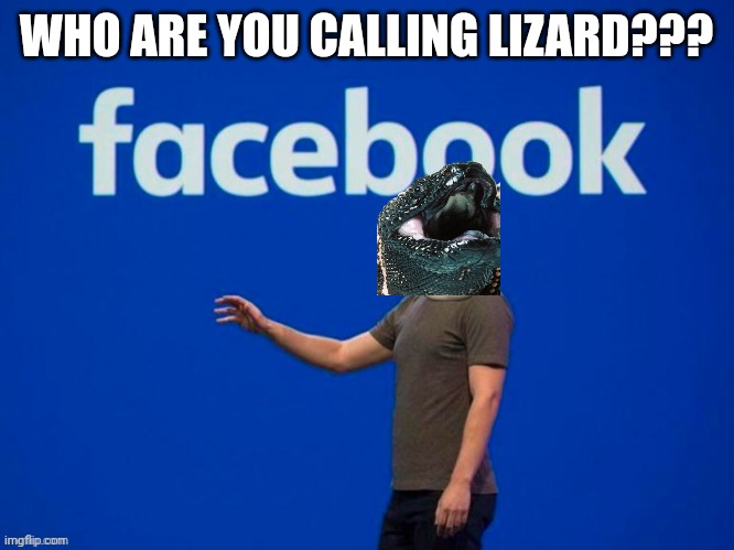 Stonks Zuckerberg | WHO ARE YOU CALLING LIZARD??? | image tagged in stonks zuckerberg | made w/ Imgflip meme maker