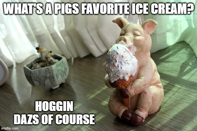 memes by Brad - A cats favorite ice cream is Hoggin' Dazs | WHAT'S A PIGS FAVORITE ICE CREAM? HOGGIN DAZS OF COURSE | image tagged in funny,cats,kittens,ice cream,funny cat memes,humor | made w/ Imgflip meme maker