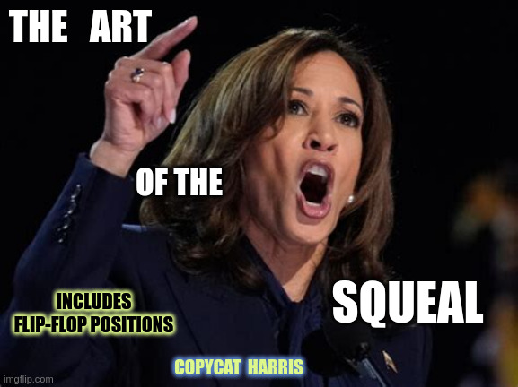 No Show 'Em Platform | THE   ART; OF THE; SQUEAL; INCLUDES FLIP-FLOP POSITIONS; COPYCAT  HARRIS | image tagged in kamala harris | made w/ Imgflip meme maker