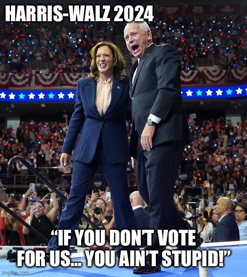 HARRIS-WALZ 2024; “IF YOU DON’T VOTE FOR US… YOU AIN’T STUPID!” | made w/ Imgflip meme maker