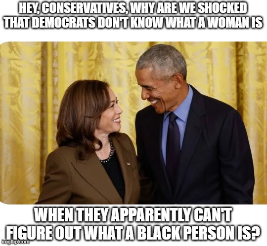 Just hit me, being "Blackish" myself... | HEY, CONSERVATIVES, WHY ARE WE SHOCKED THAT DEMOCRATS DON'T KNOW WHAT A WOMAN IS; WHEN THEY APPARENTLY CAN'T FIGURE OUT WHAT A BLACK PERSON IS? | image tagged in kamala obama | made w/ Imgflip meme maker