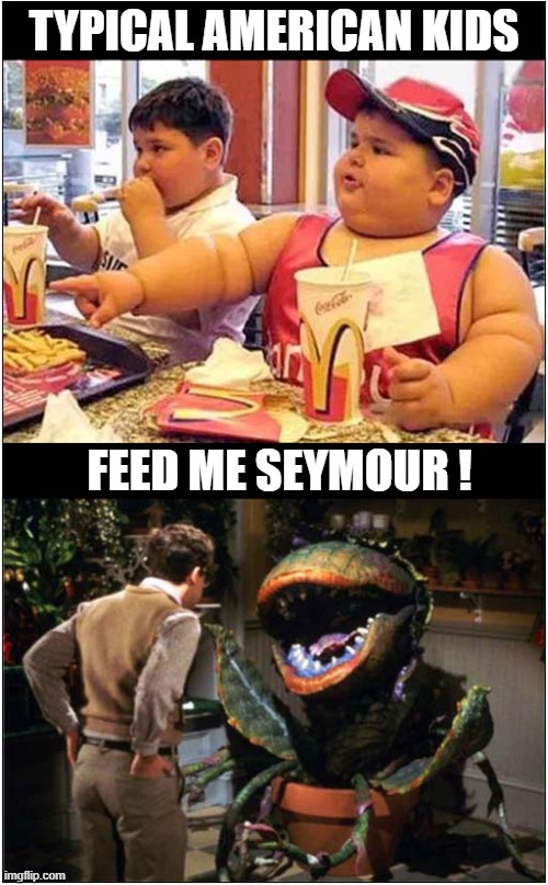 National Weight Problems Explained ! | TYPICAL AMERICAN KIDS; FEED ME SEYMOUR ! | image tagged in obese,kids,americans,feed me | made w/ Imgflip meme maker