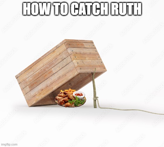 how to catch Ruth | HOW TO CATCH RUTH | image tagged in box,trap,catch | made w/ Imgflip meme maker