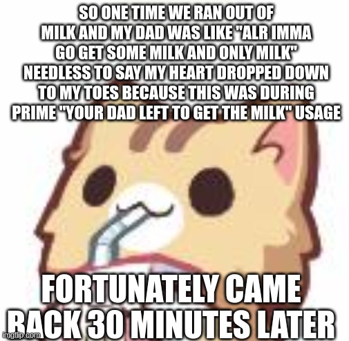 unsee juice kitty | SO ONE TIME WE RAN OUT OF MILK AND MY DAD WAS LIKE "ALR IMMA GO GET SOME MILK AND ONLY MILK" NEEDLESS TO SAY MY HEART DROPPED DOWN TO MY TOES BECAUSE THIS WAS DURING PRIME "YOUR DAD LEFT TO GET THE MILK" USAGE; FORTUNATELY CAME BACK 30 MINUTES LATER | image tagged in unsee juice kitty | made w/ Imgflip meme maker