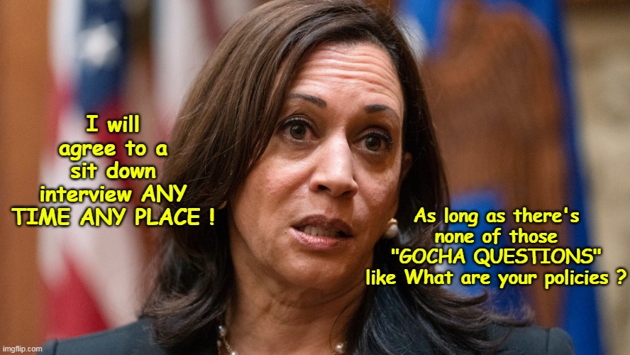 She was no kid in 2020, WHEN did she change to this "Moderate" from Radical?? | I will agree to a sit down interview ANY TIME ANY PLACE ! As long as there's none of those
 "GOCHA QUESTIONS" 
like What are your policies ? | image tagged in kamala policies memes | made w/ Imgflip meme maker