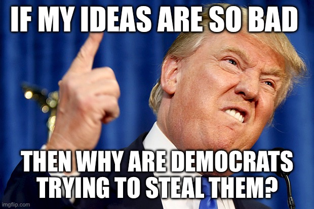 Donald Trump | IF MY IDEAS ARE SO BAD; THEN WHY ARE DEMOCRATS TRYING TO STEAL THEM? | image tagged in donald trump,democrats,kamala harris,republicans,politics,political meme | made w/ Imgflip meme maker