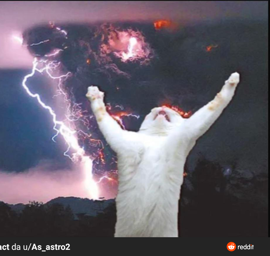 Cat Thunder Chaos Blank Meme Template