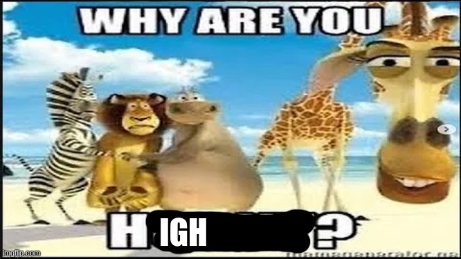 why are you horny | IGH | image tagged in why are you horny | made w/ Imgflip meme maker