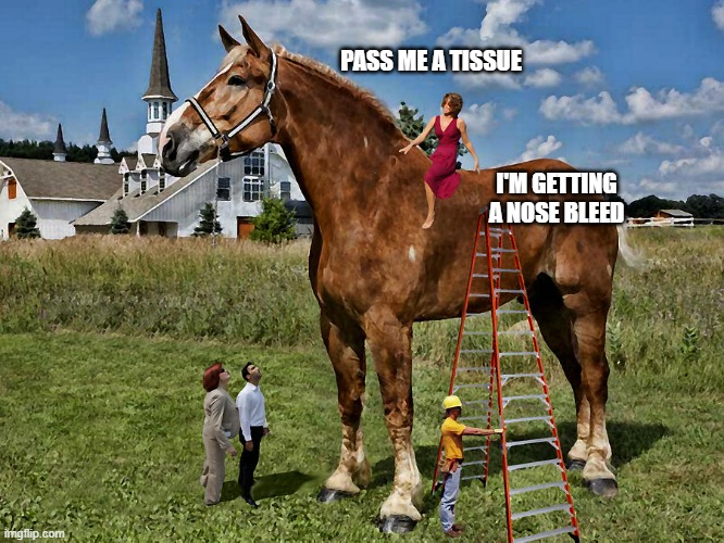 Lofty Moral Opinions | PASS ME A TISSUE; I'M GETTING A NOSE BLEED | image tagged in high horse | made w/ Imgflip meme maker