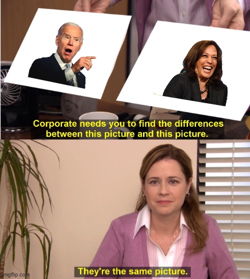 They're The Same Picture Meme | image tagged in memes,they're the same picture,joe biden,kamala harris,president,presidential race | made w/ Imgflip meme maker