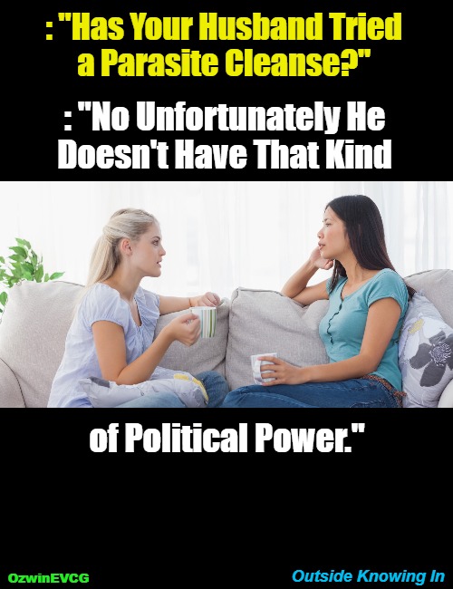 Outside Knowing In | : "Has Your Husband Tried 

a Parasite Cleanse?"; : "No Unfortunately He 

Doesn't Have That Kind; of Political Power."; Outside Knowing In; OzwinEVCG | image tagged in two women talking,knowledge,power,subversion,elitists,world occupied | made w/ Imgflip meme maker