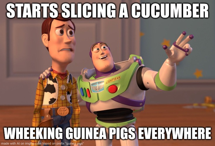 X, X Everywhere | STARTS SLICING A CUCUMBER; WHEEKING GUINEA PIGS EVERYWHERE | image tagged in memes,x x everywhere | made w/ Imgflip meme maker