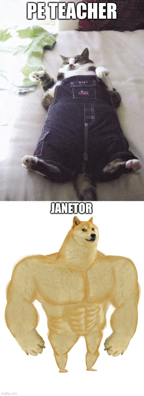 PE TEACHER; JANETOR | image tagged in memes,fat cat,swole doge | made w/ Imgflip meme maker