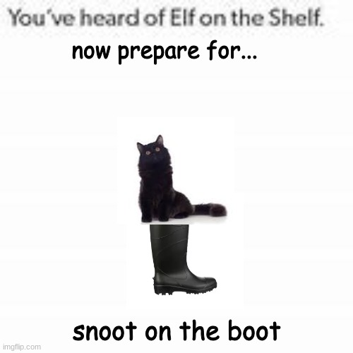 william, we're cats. | now prepare for... snoot on the boot | image tagged in you've heard of elf on the shelf | made w/ Imgflip meme maker