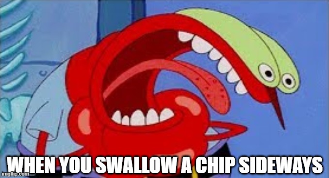 I saw my life flashing before my eyes..! | WHEN YOU SWALLOW A CHIP SIDEWAYS | image tagged in mr krabs choking,memes,funny | made w/ Imgflip meme maker