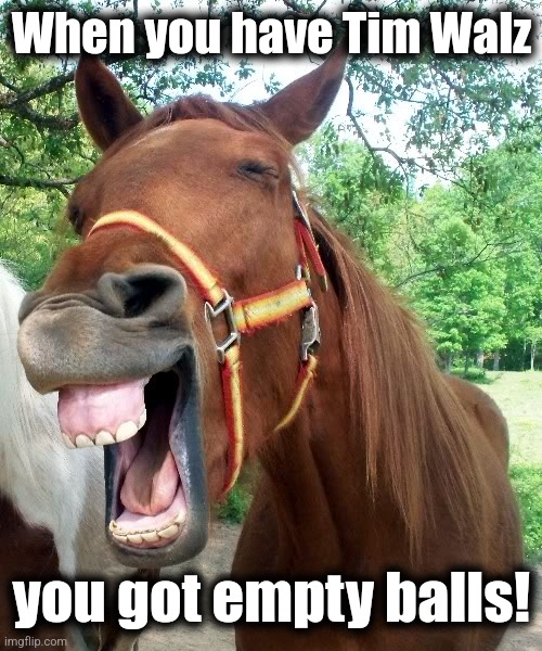 Laughing Horse | When you have Tim Walz you got empty balls! | image tagged in laughing horse | made w/ Imgflip meme maker