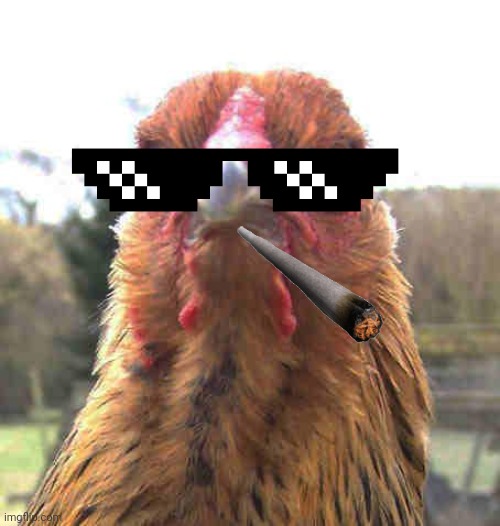 MLG Chicken Meme | image tagged in mlg,chicken,memes,funny,animals | made w/ Imgflip meme maker