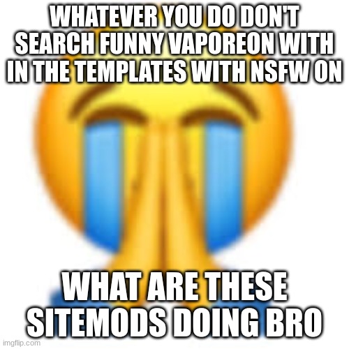WHATEVER YOU DO DON'T SEARCH FUNNY VAPOREON WITH IN THE TEMPLATES WITH NSFW ON; WHAT ARE THESE SITEMODS DOING BRO | image tagged in that was not it bro | made w/ Imgflip meme maker