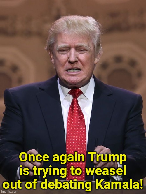 Donald Trump | Once again Trump is trying to weasel out of debating Kamala! | image tagged in donald trump | made w/ Imgflip meme maker