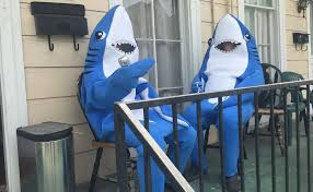 Shark costumes Blank Meme Template